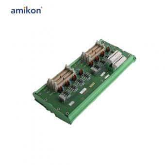 NEGTBCSA1 FEG-S032-J001