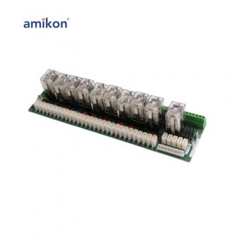 DS200RTBAG2A DS200RTBAG2AHC