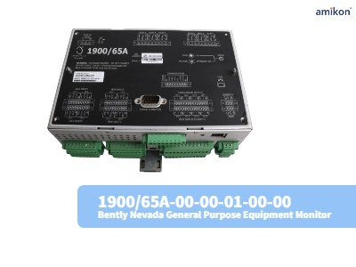 1900/65A-00-00-01-00-00 Monitor de Equipamento de Uso Geral Bently Nevada