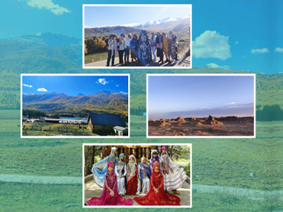 Formação de equipe da empresa