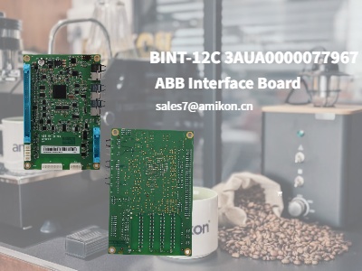 BINT-12C 3AUA0000077967 | Placa de interface ABB
