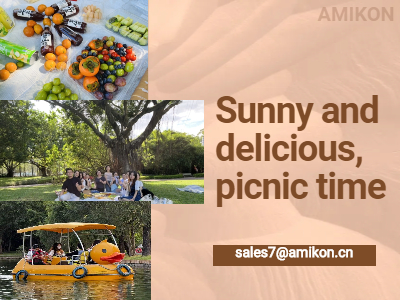 Ensolarado e delicioso, hora do piquenique