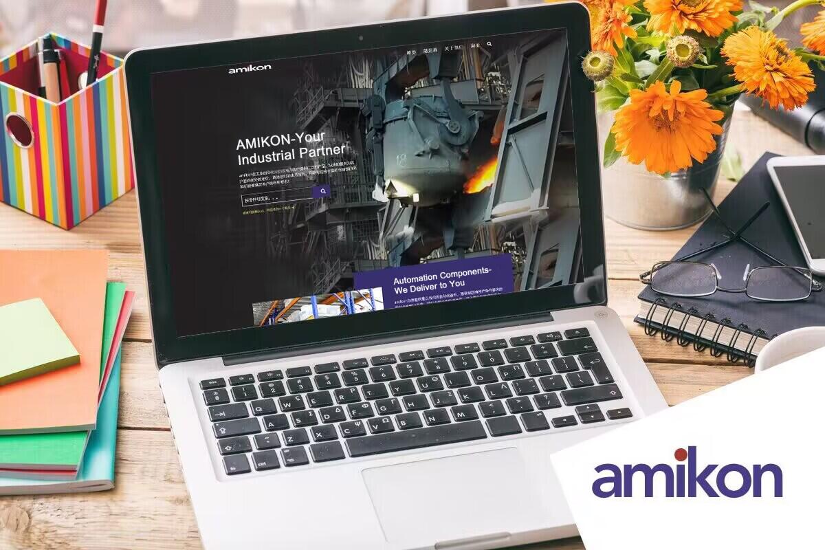 Trabalho diário da AMIKON
    